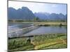 Bamboo Bridge, Vang Vieng, Laos, Indochina, Southeast Asia-Jane Sweeney-Mounted Photographic Print