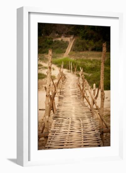 Bamboo Bridge-Erin Berzel-Framed Photographic Print