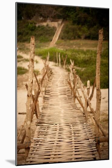 Bamboo Bridge-Erin Berzel-Mounted Photographic Print