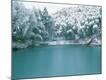 Premium Photographic Print