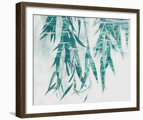 Bamboo Calm-Tania Bello-Framed Giclee Print