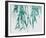 Bamboo Calm-Tania Bello-Framed Giclee Print