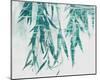 Bamboo Calm-Tania Bello-Mounted Giclee Print