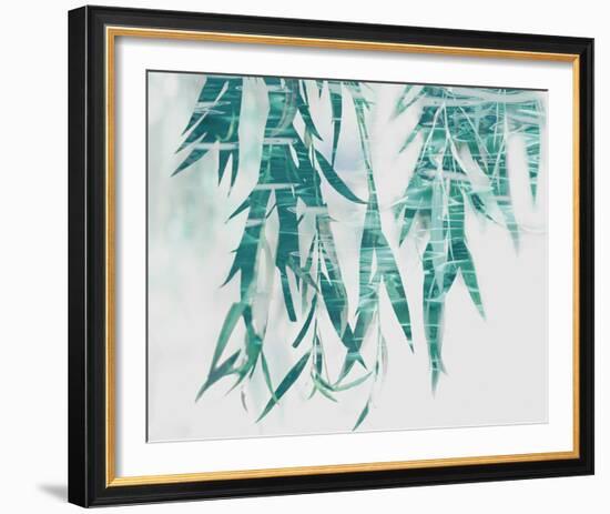 Bamboo Calm-Tania Bello-Framed Giclee Print