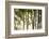 Bamboo casting shadows, Suzhou, Jiangsu Province, China-Keren Su-Framed Photographic Print