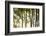 Bamboo casting shadows, Suzhou, Jiangsu Province, China-Keren Su-Framed Photographic Print