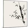 Bamboo Collection II-Nan Rae-Mounted Art Print