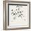 Bamboo Collection III-Nan Rae-Framed Art Print