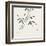 Bamboo Collection III-Nan Rae-Framed Art Print