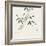 Bamboo Collection III-Nan Rae-Framed Art Print