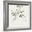 Bamboo Collection III-Nan Rae-Framed Art Print