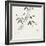 Bamboo Collection III-Nan Rae-Framed Art Print