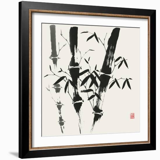 Bamboo Collection VI-Nan Rae-Framed Art Print