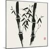 Bamboo Collection VII-Nan Rae-Mounted Art Print