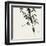 Bamboo Collection VIII-Nan Rae-Framed Art Print