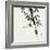 Bamboo Collection VIII-Nan Rae-Framed Art Print