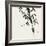 Bamboo Collection VIII-Nan Rae-Framed Art Print