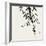 Bamboo Collection VIII-Nan Rae-Framed Art Print