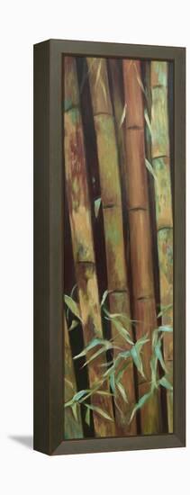 Bamboo Finale I-Suzanne Wilkins-Framed Stretched Canvas