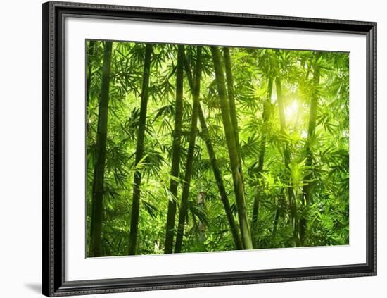 Bamboo Forest I-Kuma-Framed Art Print