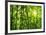 Bamboo Forest I-Kuma-Framed Art Print