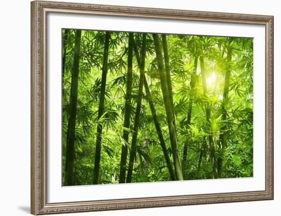 Bamboo Forest I-Kuma-Framed Art Print