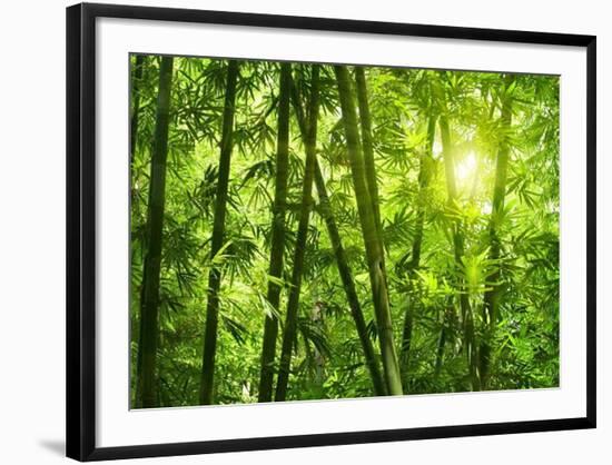 Bamboo Forest I-Kuma-Framed Art Print