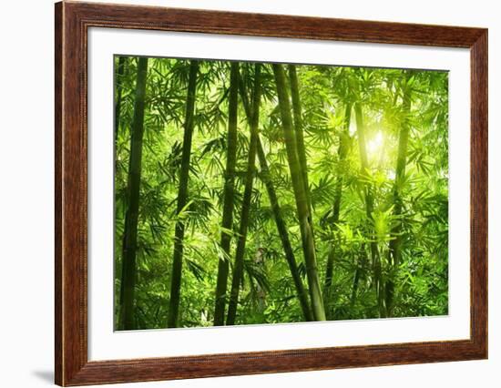 Bamboo Forest I-Kuma-Framed Art Print