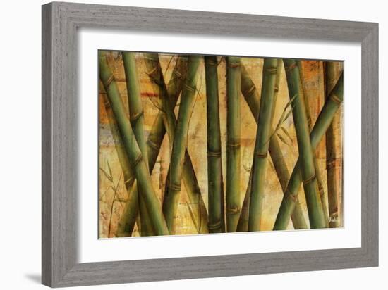 Bamboo Forest I-Patricia Pinto-Framed Art Print