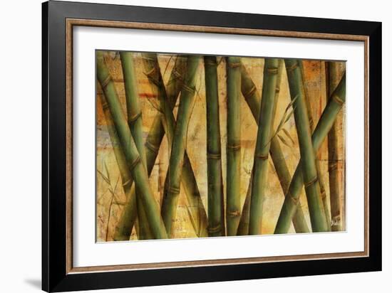 Bamboo Forest I-Patricia Pinto-Framed Art Print