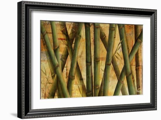 Bamboo Forest I-Patricia Pinto-Framed Art Print