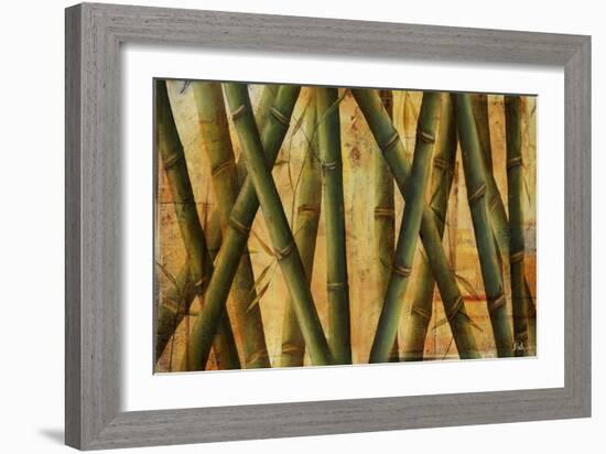 Bamboo Forest II-Patricia Pinto-Framed Art Print