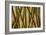 Bamboo Forest II-Patricia Pinto-Framed Art Print