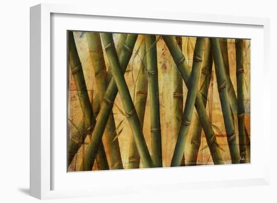 Bamboo Forest II-Patricia Pinto-Framed Art Print