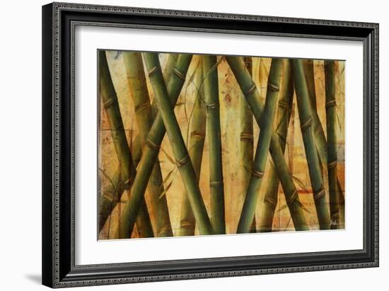 Bamboo Forest II-Patricia Pinto-Framed Art Print