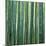 Bamboo Forest in Kyoto-Micha Pawlitzki-Mounted Photographic Print