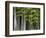 Bamboo Forest in Sagano-Rudy Sulgan-Framed Photographic Print