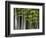 Bamboo Forest in Sagano-Rudy Sulgan-Framed Photographic Print