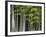 Bamboo Forest in Sagano-Rudy Sulgan-Framed Photographic Print