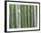 Bamboo Forest in Sagano-Rudy Sulgan-Framed Photographic Print