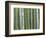 Bamboo Forest in Sagano-Rudy Sulgan-Framed Photographic Print