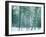 Bamboo Forest in Snow, Nishiyama, Kyoto, Japan-null-Framed Photographic Print