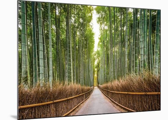Bamboo Forest, Kyoto, Japan-Pangea Images-Mounted Giclee Print