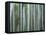 Bamboo Forest, Kyoto, Japan-Gavriel Jecan-Framed Premier Image Canvas