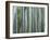 Bamboo Forest, Kyoto, Japan-Gavriel Jecan-Framed Photographic Print