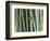 Bamboo Forest, Kyoto, Japan-Rob Tilley-Framed Photographic Print