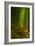 Bamboo Forest, Maui-Vincent James-Framed Photographic Print