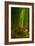 Bamboo Forest, Maui-Vincent James-Framed Photographic Print