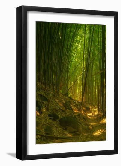 Bamboo Forest, Maui-Vincent James-Framed Photographic Print