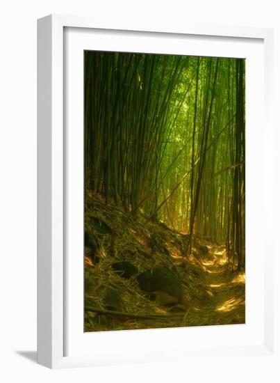 Bamboo Forest, Maui-Vincent James-Framed Photographic Print